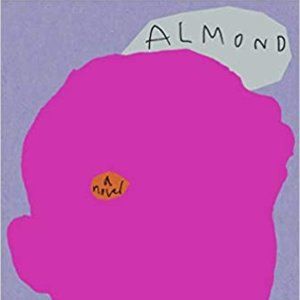 Almond by Won-Pyung Sohn